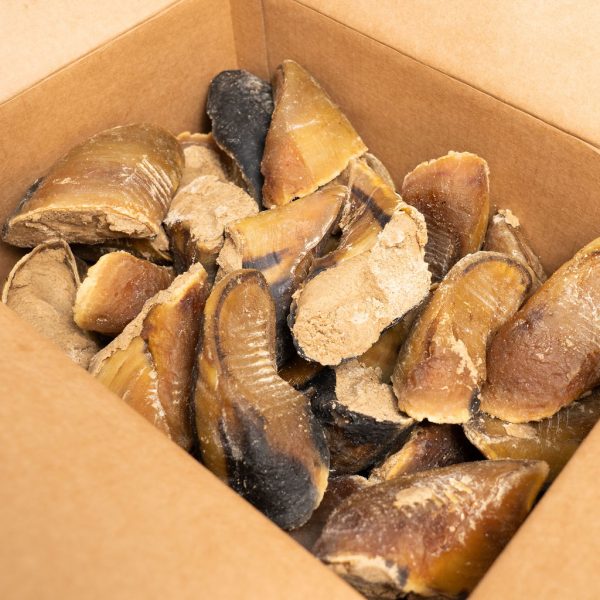 Filled Hooves (25s) Nova Dog Chews