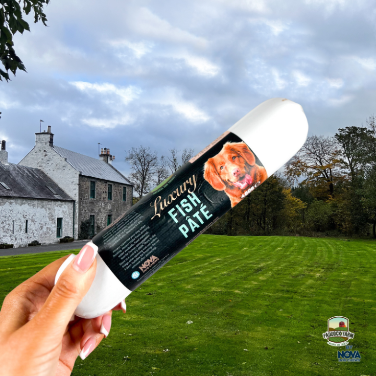 Luxury Fish Pate 400g Nova Dog Chews