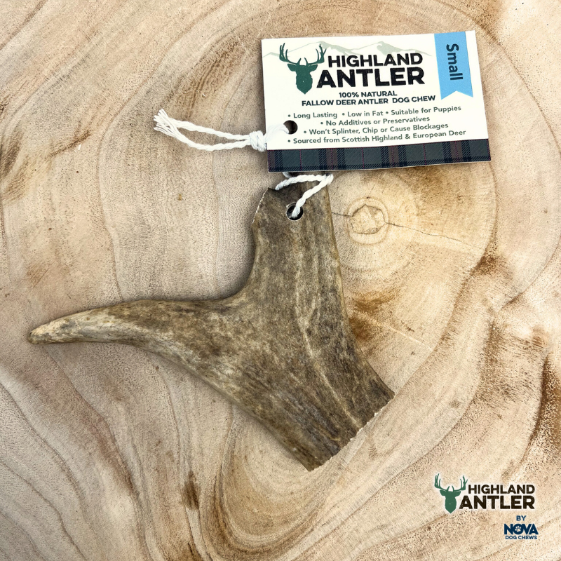 Antler Fallow Small (Under 75g) (15% Discount)
