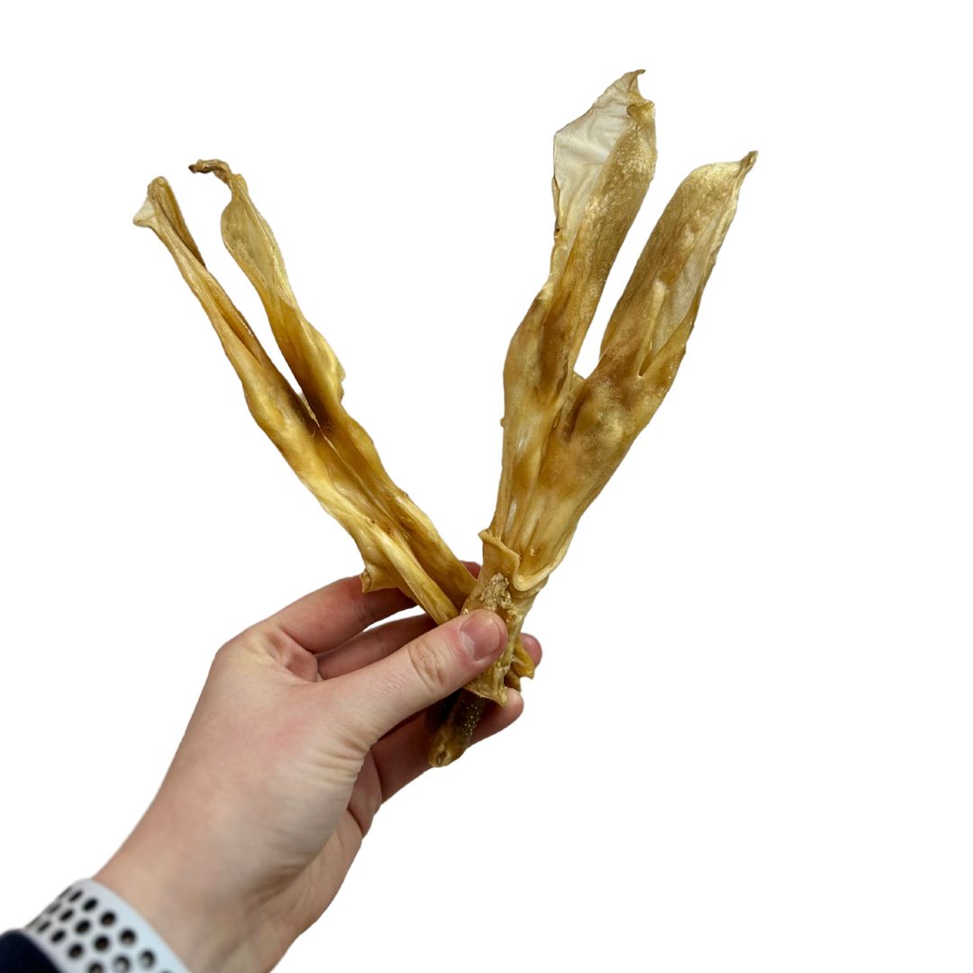 Rabbit Ears without Hair 500g - Image 4