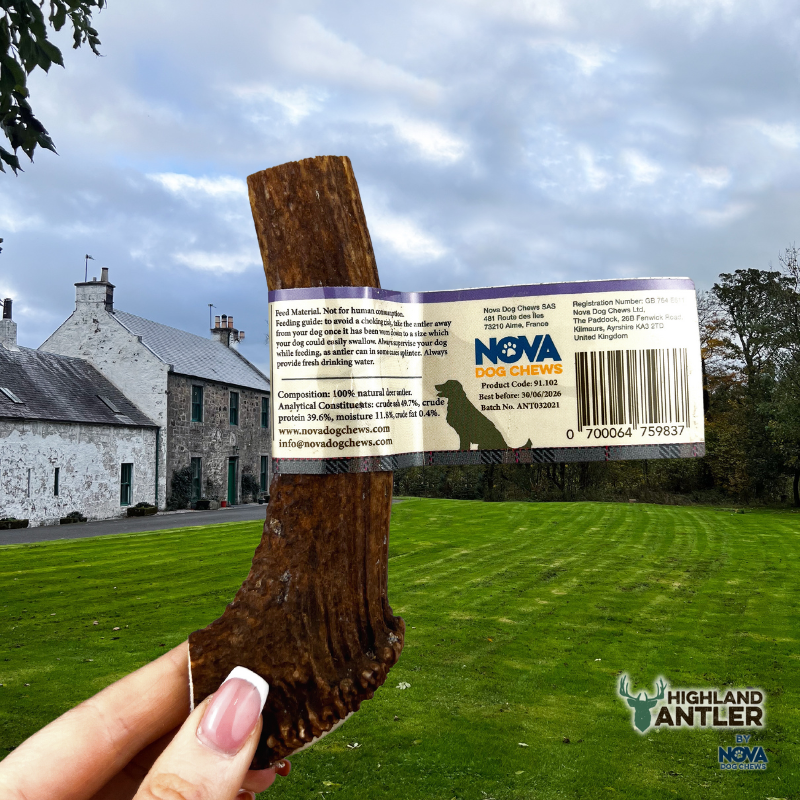 Antler Split Medium (51g-80g) - Image 3