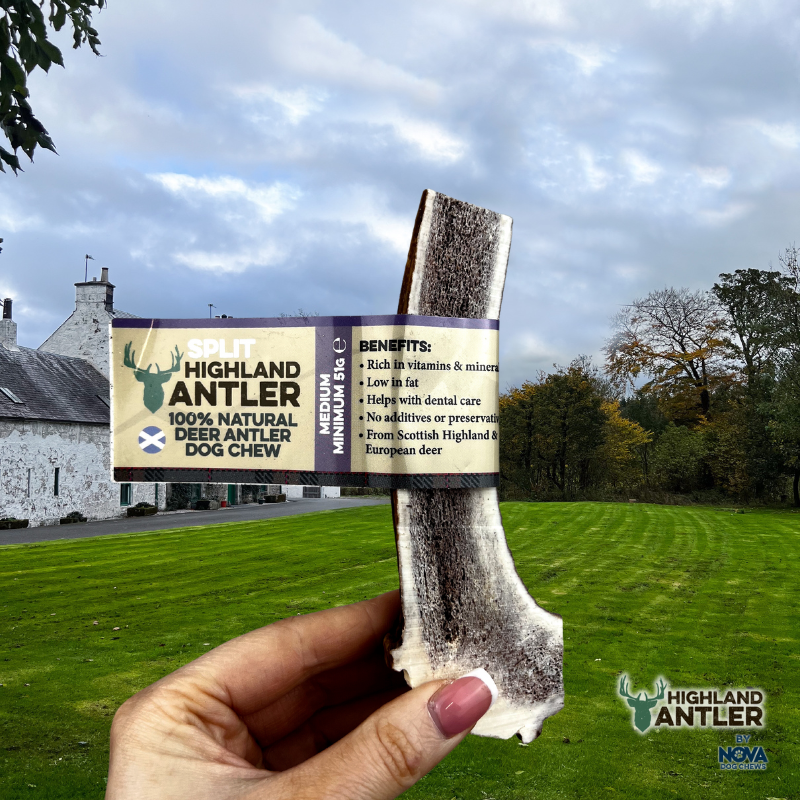 Antler Split Medium (51g-80g) - Image 2