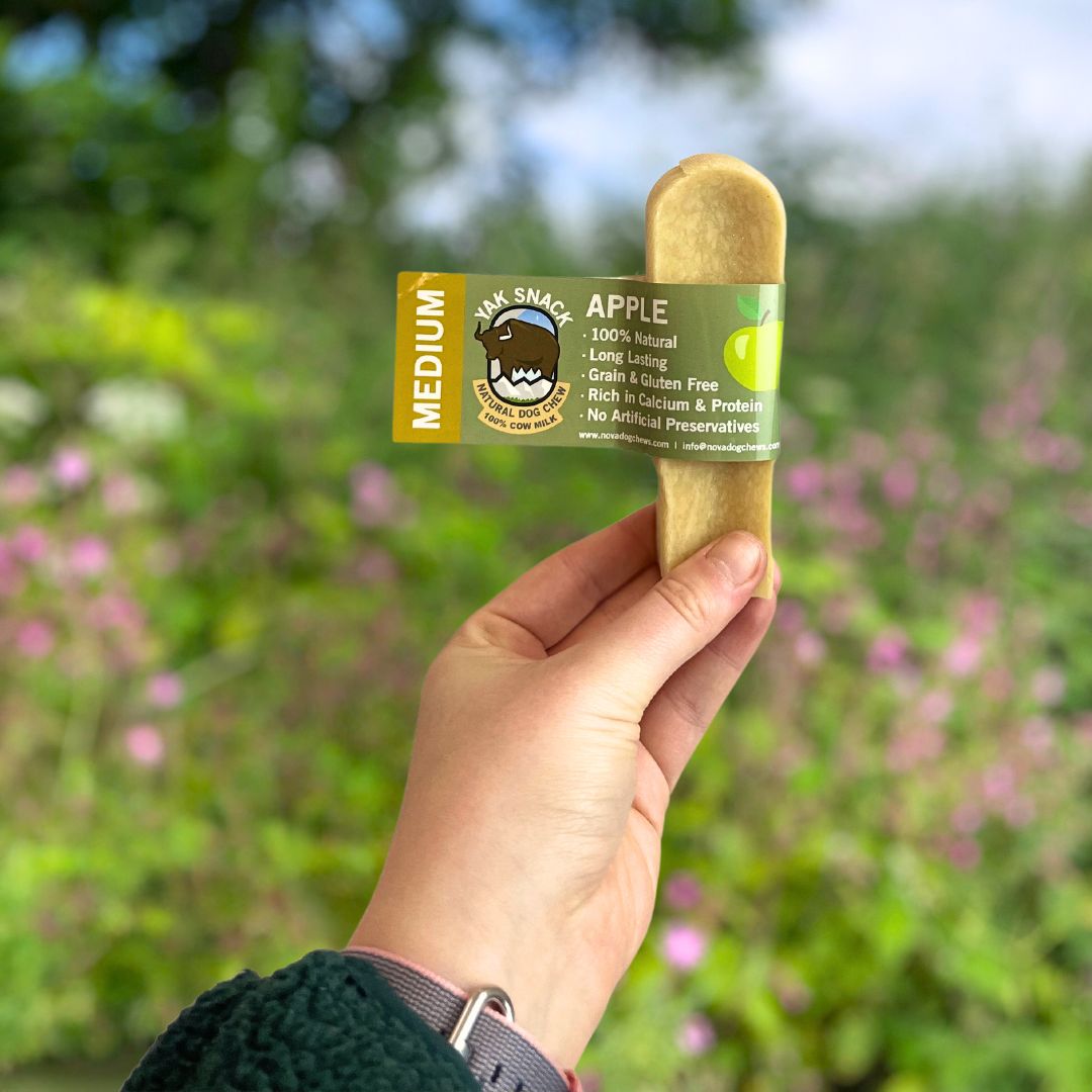 Yak Snack Apple Medium - Image 3