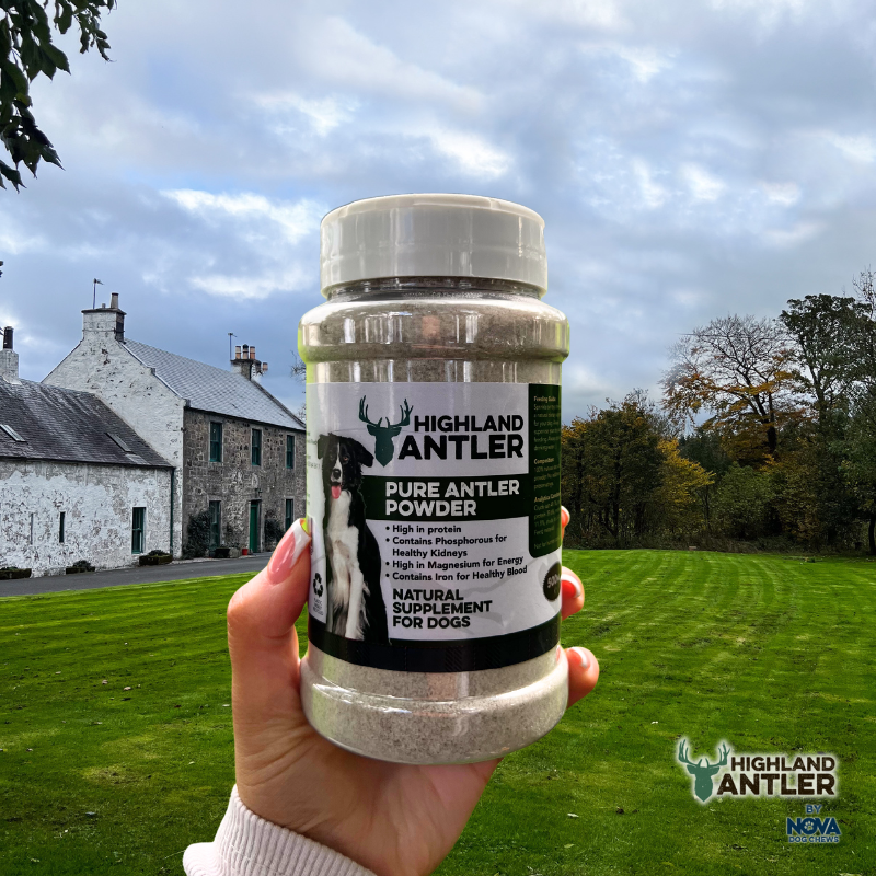 Pure Antler Powder (Supplement) 500ml - Image 3
