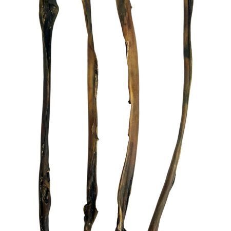 40-50cm Camel Skin Sticks (20 pack) (Temporary Stock)