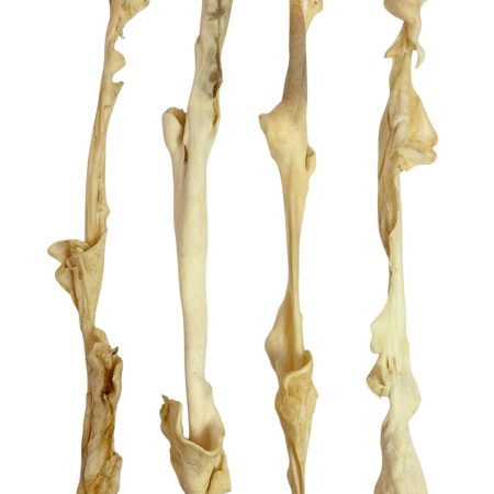 40-50cm Lamb Skin Sticks (20 pack)  (Temporary Stock)