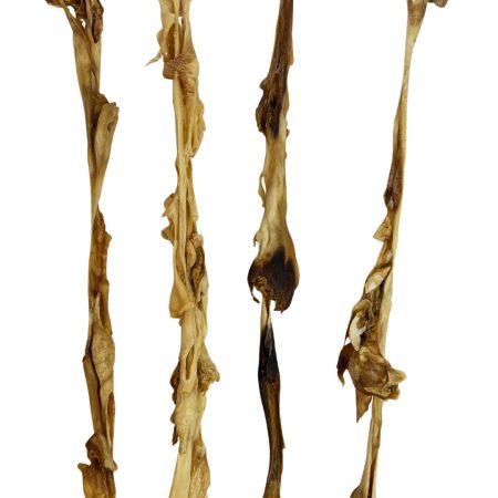 40-50cm Goat Skin Stick (20 pack) (15% Discount)