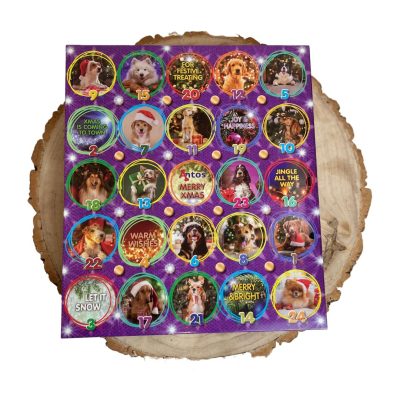 Antos-Advent-Calendar.jpg