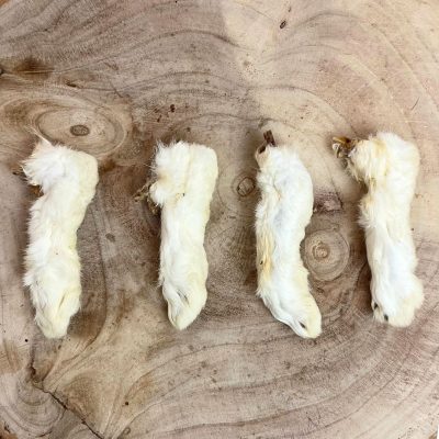 Rabbit-feet-with-hair-2.jpg