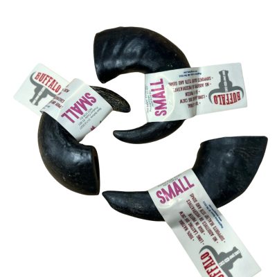 Small Buffalo Horn