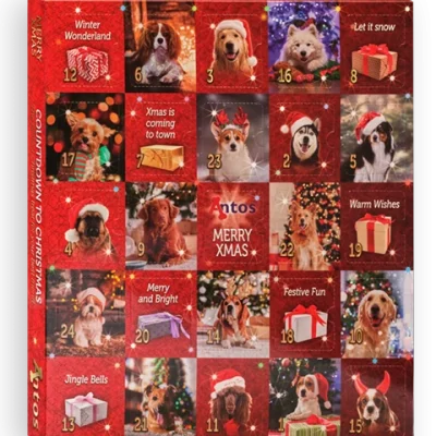 antos-adventskalender-225-gr-hond-image_5-1739618375